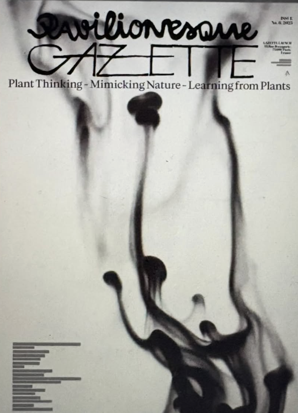  - Pavilionesque Gazette